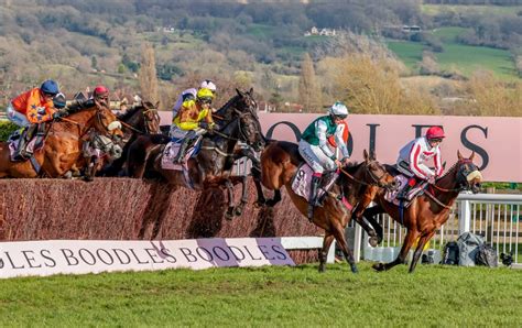 cheltenham gold cup tips|Gold Cup Tips .